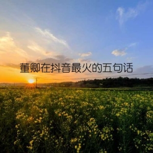 董卿在抖音最火的五句话