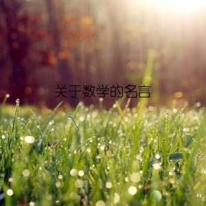关于数学的名言