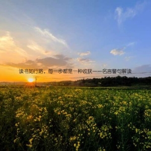 读书如行路，每一步都是一种收获——名言警句解读