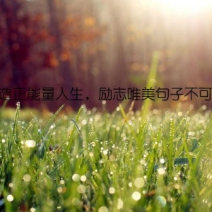 打造正能量人生，励志唯美句子不可少