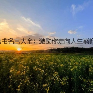 读书名言大全：激励你走向人生巅峰！
