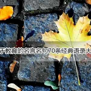 关于教育的名言名句70条经典语录大全