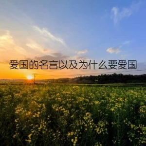 爱国的名言以及为什么要爱国
