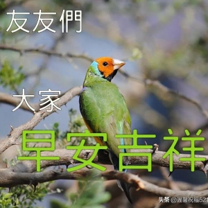 每天早上好问候语及关心话，一生平安事事顺，幸福永远伴随您