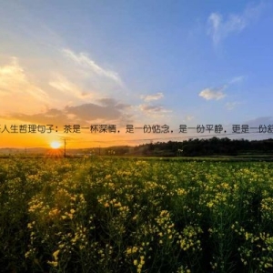 茶悟人生哲理句子：茶是一杯深情，是一份惦念，是一份平静，更是一份舒坦。