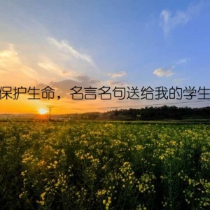 保护生命，名言名句送给我的学生