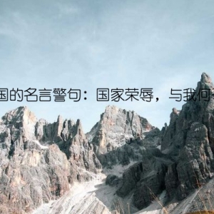 爱国的名言警句：国家荣辱，与我何干？