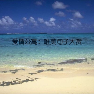 爱情公寓：唯美句子大赏