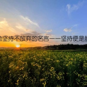 鼓励坚持不放弃的名言——坚持便是胜利