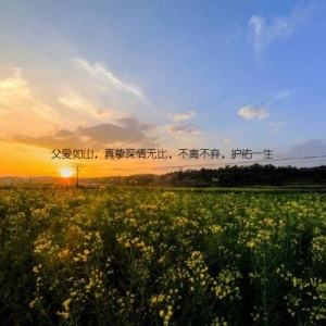 父爱如山，真挚深情无比，不离不弃，护佑一生