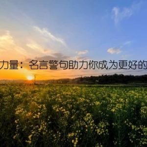 爱的力量：名言警句助力你成为更好的自己