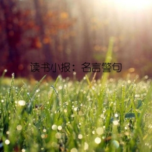 读书小报：名言警句
