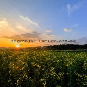 感恩老师的最佳句子，让学生对老师充满敬意与感激
