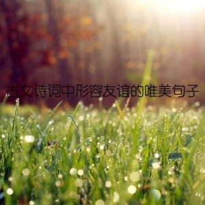 古文诗词中形容友谊的唯美句子
