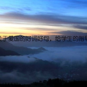 关于爱国的好词好句，给学生的指导