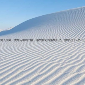 爱情无国界，爱是无限的力量，感受爱如同感受阳光，因为它们无所不在。