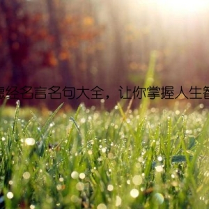道德经名言名句大全，让你掌握人生智慧