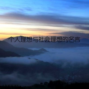 个人理想与社会理想的名言