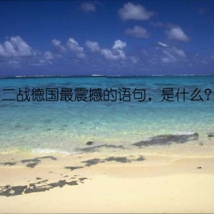 二战德国最震撼的语句，是什么？