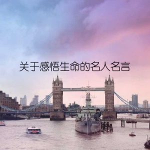 关于感悟生命的名人名言
