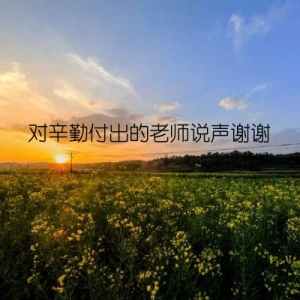 对辛勤付出的老师说声谢谢