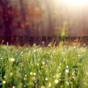 古风句子揭示虐心真相，解析给力原因