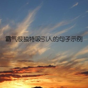 霸气很独特吸引人的句子示例