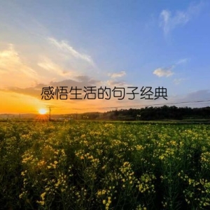 感悟生活的句子经典