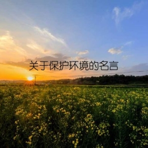 关于保护环境的名言