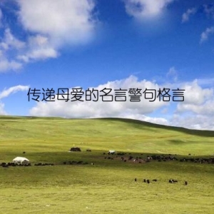 传递母爱的名言警句格言