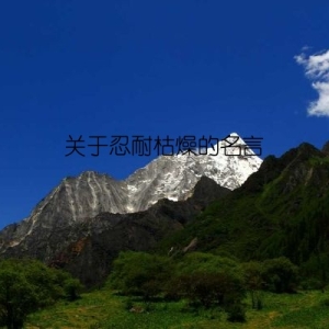 关于忍耐枯燥的名言