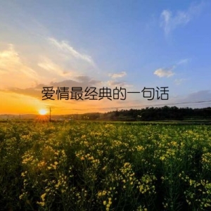 爱情最经典的一句话
