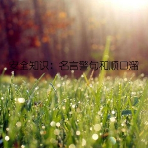 安全知识：名言警句和顺口溜