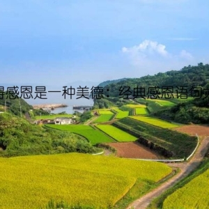 懂得感恩是一种美德：经典感恩语句大全