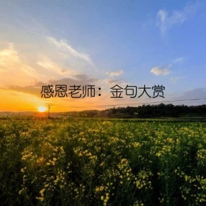 感恩老师：金句大赏