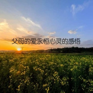 父母的爱永恒心灵的感悟