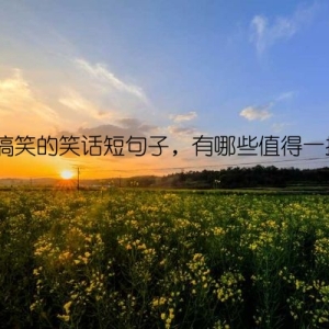 非常搞笑的笑话短句子，有哪些值得一提呢？