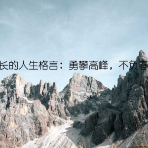 成长的人生格言：勇攀高峰，不负春光