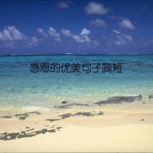 感恩的优美句子简短