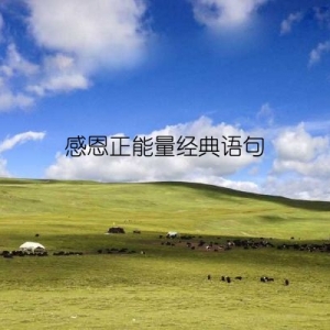 感恩正能量经典语句