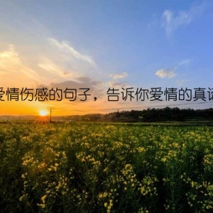 爱情伤感的句子，告诉你爱情的真谛