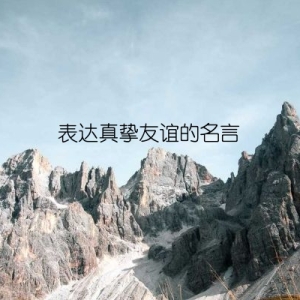 表达真挚友谊的名言
