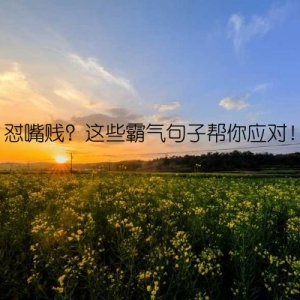 怼嘴贱？这些霸气句子帮你应对！
