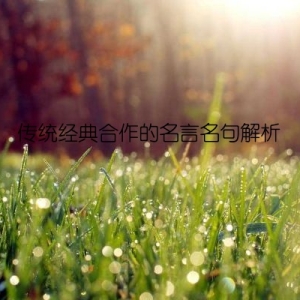 传统经典合作的名言名句解析