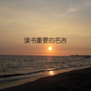 读书重要的名言