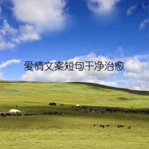 爱情文案短句干净治愈