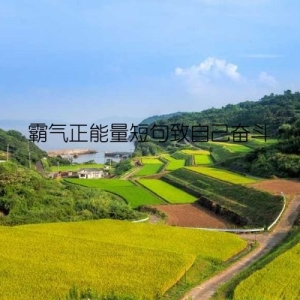 霸气正能量短句致自己奋斗