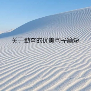 关于勤奋的优美句子简短