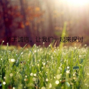 关于诚信，让我们一起来探讨