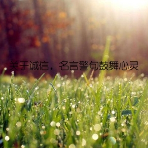关于诚信，名言警句鼓舞心灵